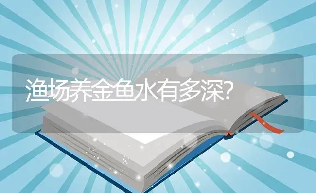 渔场养金鱼水有多深？ | 鱼类宠物饲养