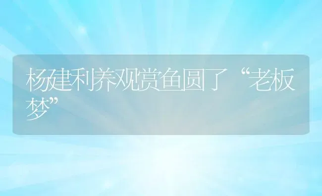 杨建利养观赏鱼圆了“老板梦” | 动物养殖教程