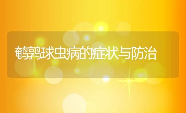 鹌鹑球虫病的症状与防治 | 水产养殖知识