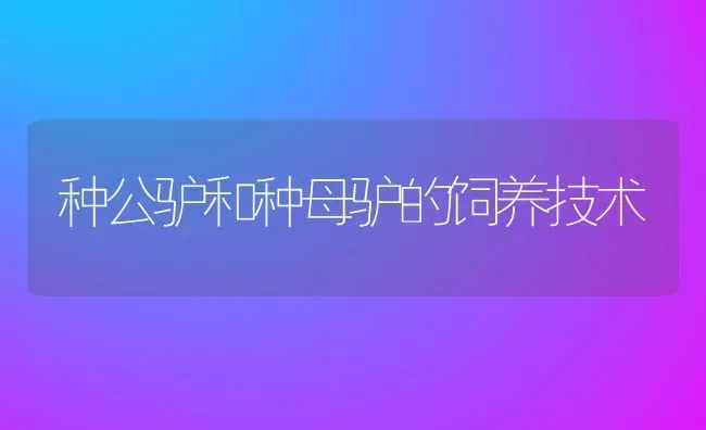 种公驴和种母驴的饲养技术 | 动物养殖教程