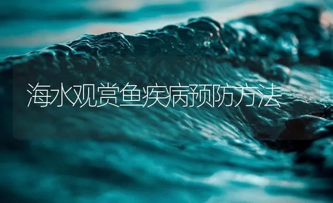 海水观赏鱼疾病预防方法 | 海水养殖技术