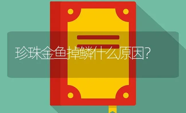 珍珠金鱼掉鳞什么原因？ | 鱼类宠物饲养