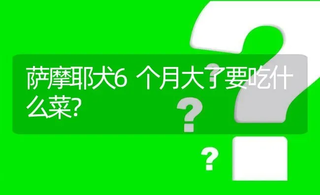 萨摩耶犬6个月大了要吃什么菜？ | 动物养殖问答