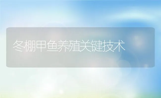 冬棚甲鱼养殖关键技术 | 动物养殖饲料