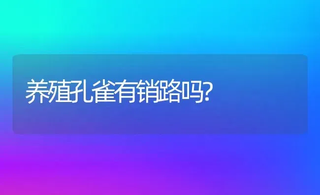 养殖孔雀有销路吗? | 动物养殖百科