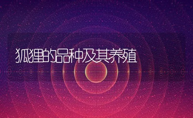 狐狸的品种及其养殖 | 动物养殖百科