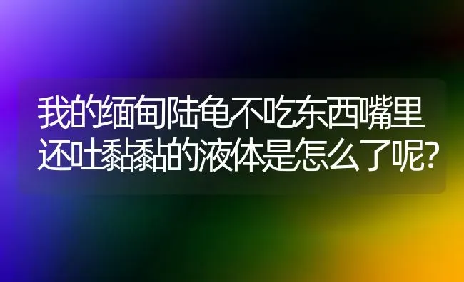 我的缅甸陆龟不吃东西嘴里还吐黏黏的液体是怎么了呢？ | 动物养殖问答