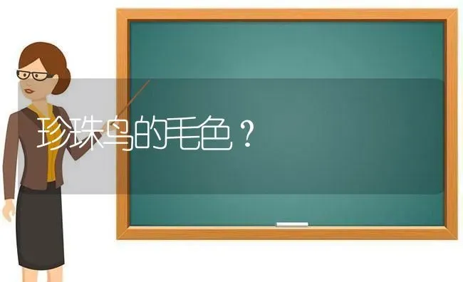 比熊和泰迪哪个大？ | 动物养殖问答