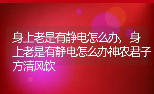 身上老是有静电怎么办,身上老是有静电怎么办神农君子方清风饮 | 宠物百科知识