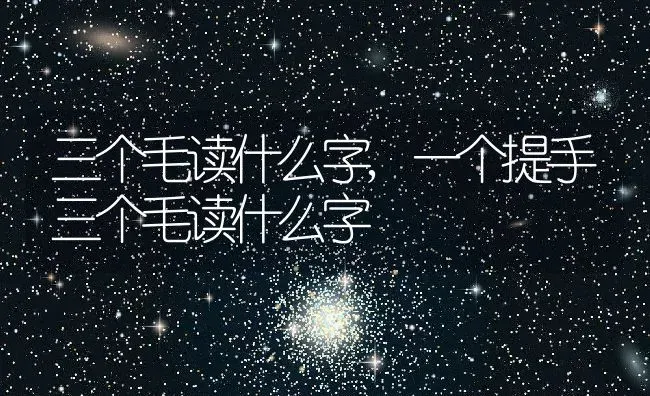 三个毛读什么字,一个提手三个毛读什么字 | 宠物百科知识