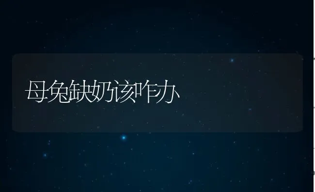 人工淡化斑节对虾养殖产量增加 | 海水养殖技术