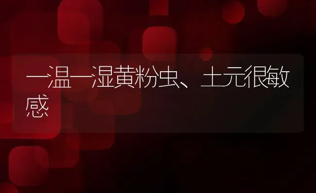 一温一湿黄粉虫、土元很敏感 | 水产养殖知识