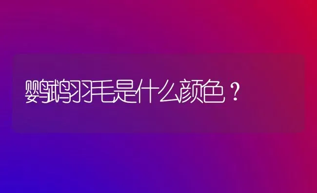 鹦鹉羽毛是什么颜色？ | 动物养殖问答