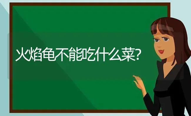 两只猫同时呕吐怎么回事呢？ | 动物养殖问答