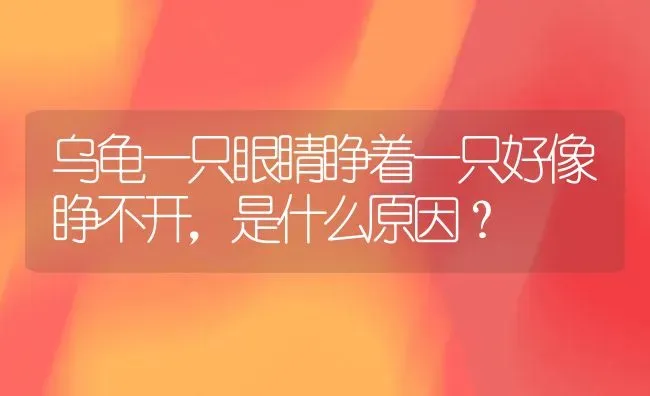 乌龟一只眼睛睁着一只好像睁不开，是什么原因？ | 动物养殖问答