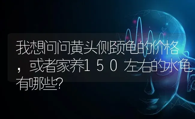 我想问问黄头侧颈龟的价格，或者家养150左右的水龟有哪些？ | 动物养殖问答