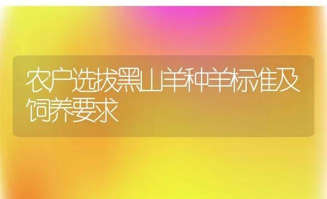 锦鲤养殖需要好的心态 | 动物养殖教程