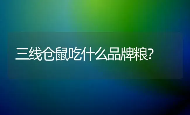 三线仓鼠吃什么品牌粮？ | 动物养殖问答