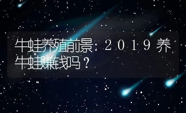 牛蛙养殖前景：2019养牛蛙赚钱吗？ | 动物养殖百科