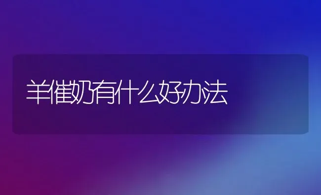 羊催奶有什么好办法 | 动物养殖百科