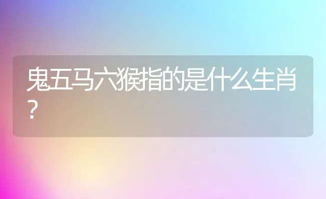 鬼五马六猴指的是什么生肖？ | 动物养殖问答