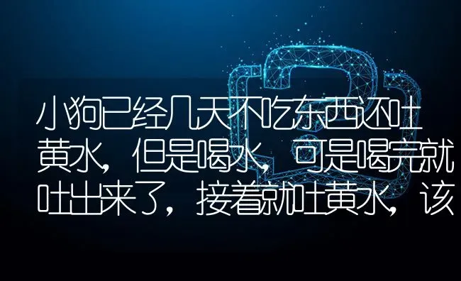 小狗已经几天不吃东西还吐黄水，但是喝水，可是喝完就吐出来了，接着就吐黄水，该怎么办啊，急。急。急。急。急。急？ | 动物养殖问答