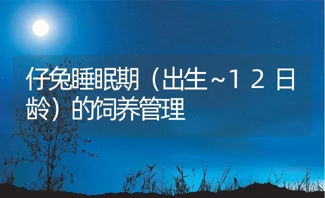 仔兔睡眠期（出生～12日龄）的饲养管理 | 动物养殖学堂