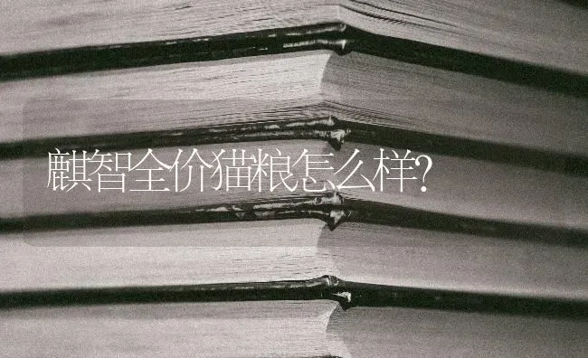 麒智全价猫粮怎么样? | 动物养殖问答