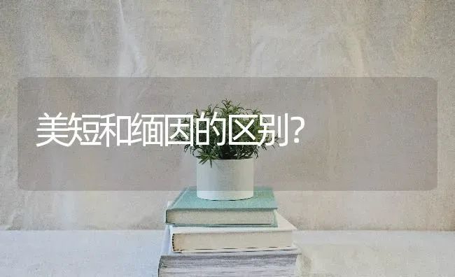 德牧双血统好还是单血统好？ | 动物养殖问答