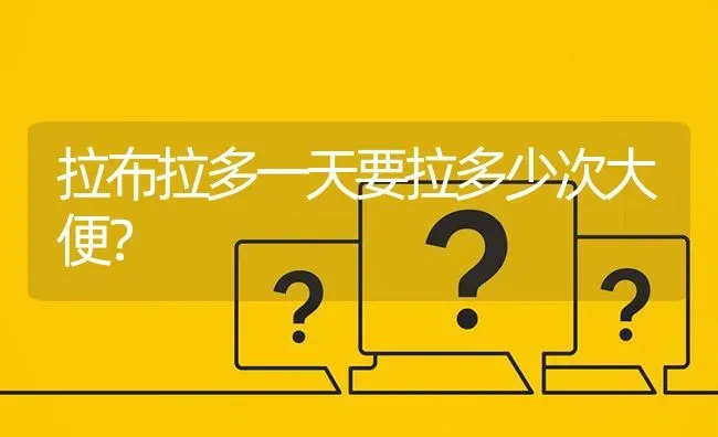 拉布拉多一天要拉多少次大便？ | 动物养殖问答