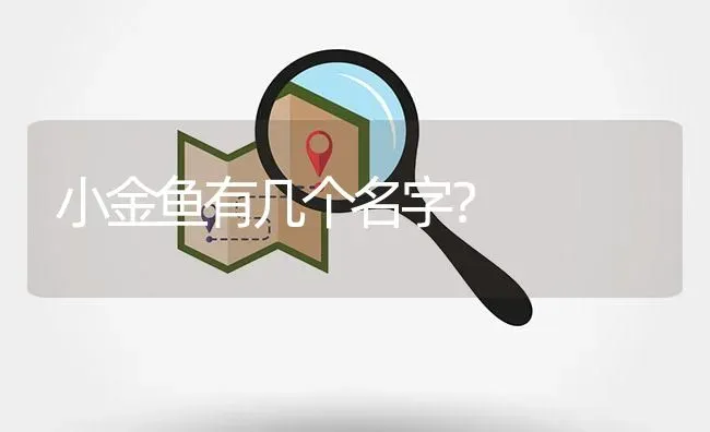 小金鱼有几个名字？ | 鱼类宠物饲养