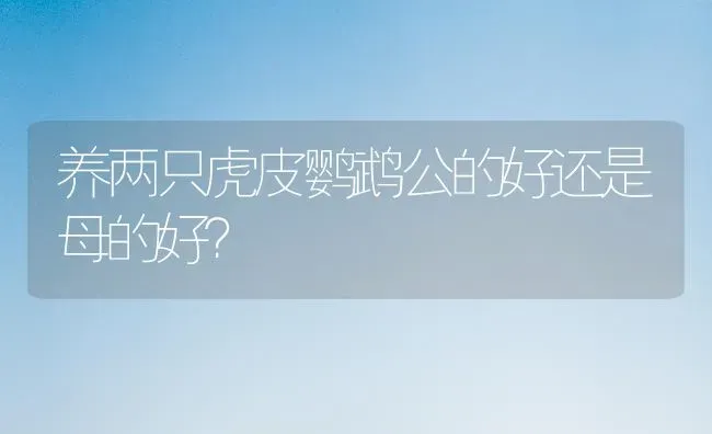 蓝陨石边牧眼睛一个蓝色很清澈，一个是局部蓝，这是什么原因呢，仔细看会看出两只眼睛颜色不一样？ | 动物养殖问答