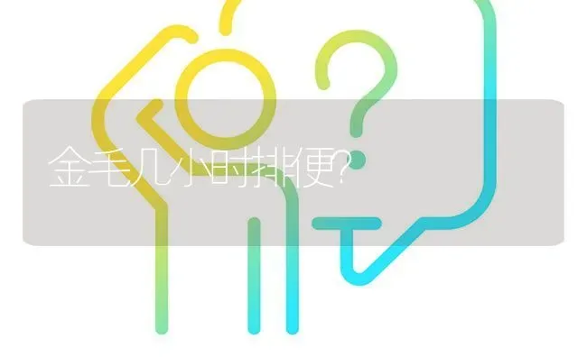 金毛几小时排便？ | 动物养殖问答