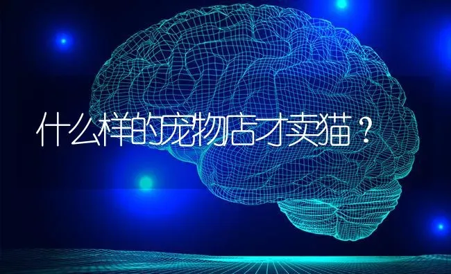 拉布拉多为什么有长毛的还短毛的？ | 动物养殖问答