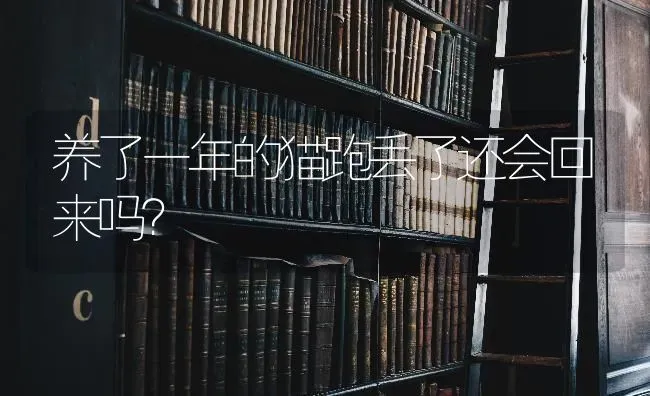 养了一年的猫跑丢了还会回来吗？ | 动物养殖问答