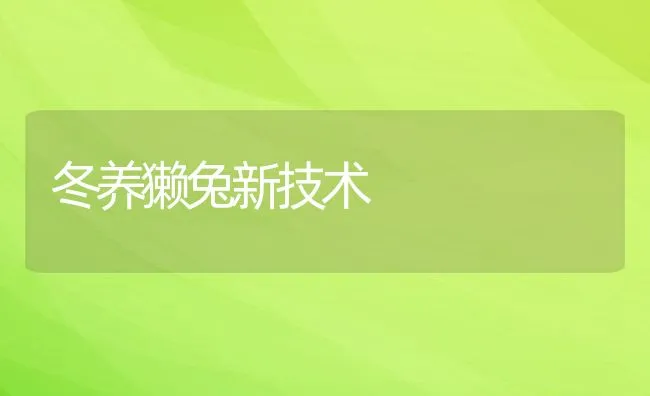 冬养獭兔新技术 | 动物养殖学堂