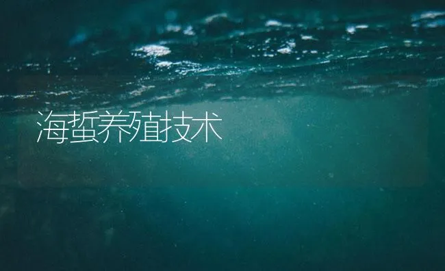 海蜇养殖技术 | 海水养殖技术