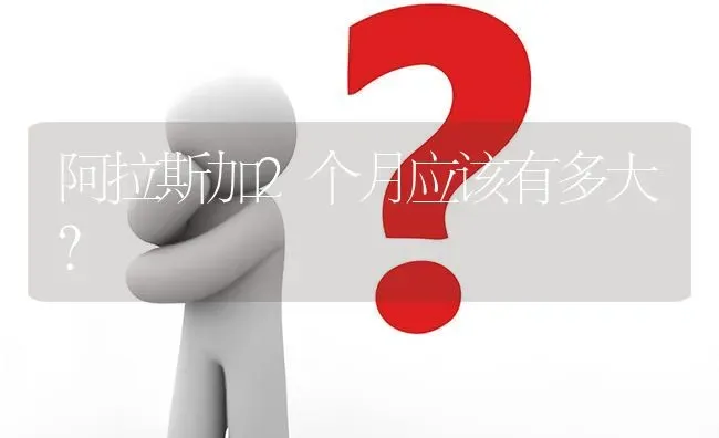 阿拉斯加2个月应该有多大？ | 动物养殖问答