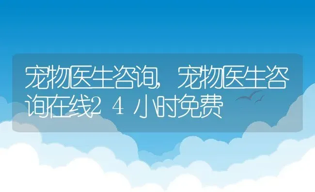 宠物医生咨询,宠物医生咨询在线24小时免费 | 宠物百科知识