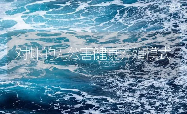 对虾的无公害健康养殖模式 | 海水养殖技术