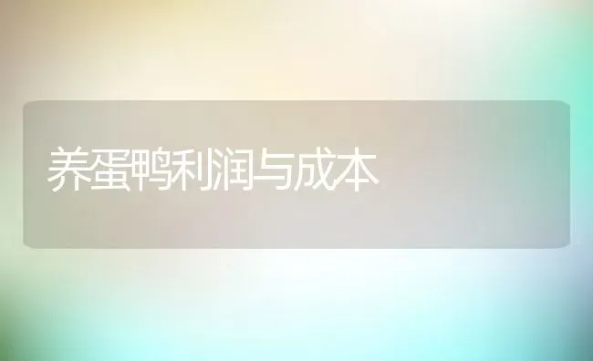 养蛋鸭利润与成本 | 动物养殖百科