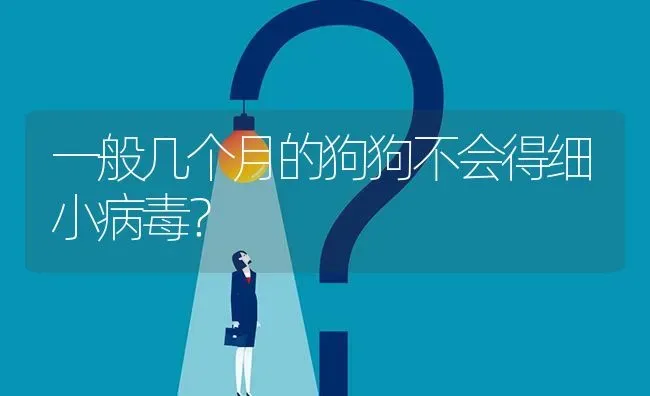 一般几个月的狗狗不会得细小病毒？ | 动物养殖问答