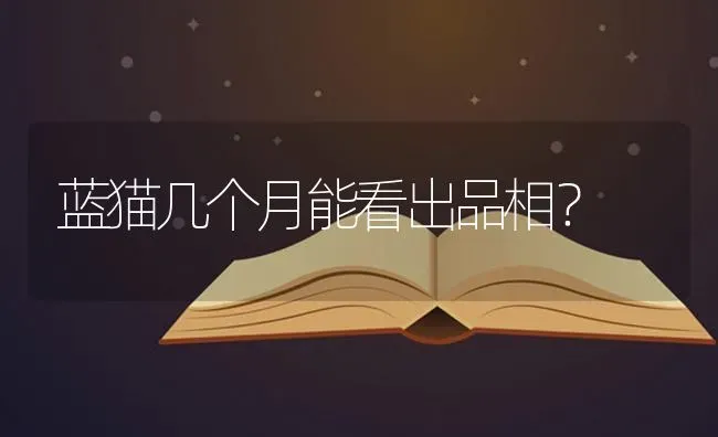 蓝猫几个月能看出品相？ | 动物养殖问答