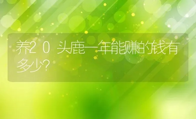 养20头鹿一年能赚的钱有多少？ | 动物养殖百科