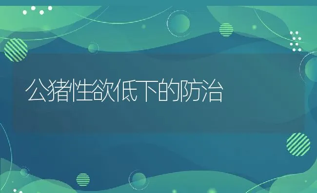 公猪性欲低下的防治 | 动物养殖学堂