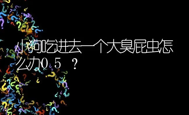 小狗吃进去一个大臭屁虫怎么办05？ | 动物养殖问答