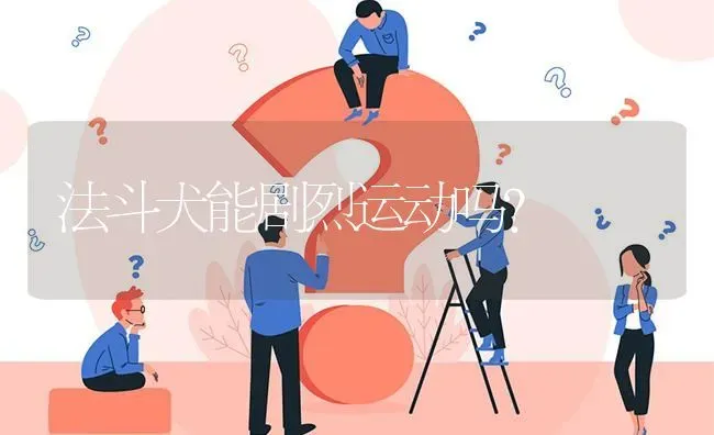 法斗犬能剧烈运动吗？ | 动物养殖问答