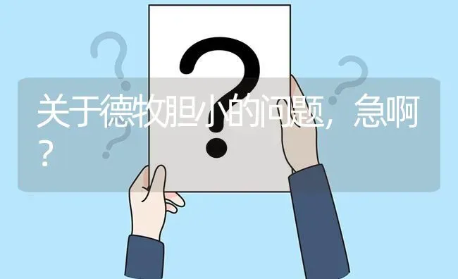 杜宾犬和莱州红犬区别？ | 动物养殖问答