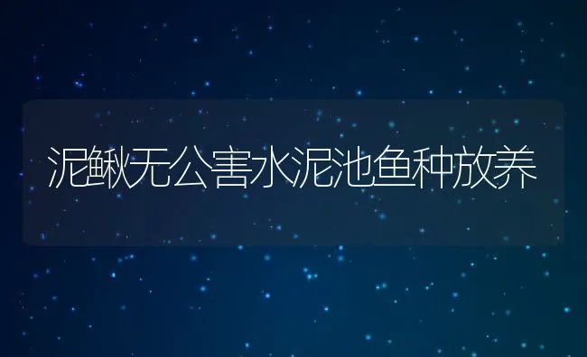 泥鳅无公害水泥池鱼种放养 | 动物养殖饲料