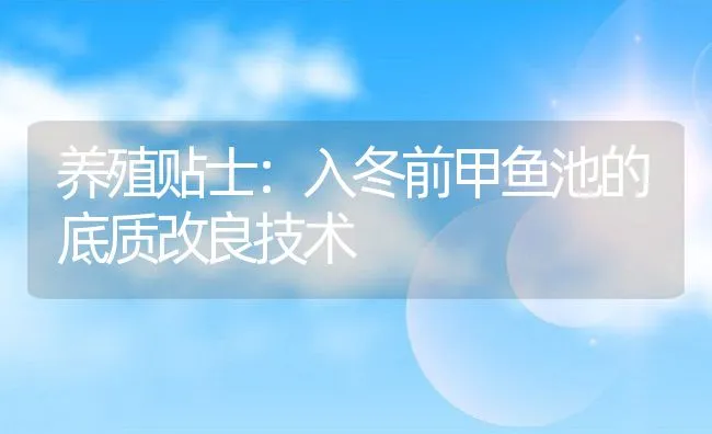 养殖贴士：入冬前甲鱼池的底质改良技术 | 动物养殖饲料